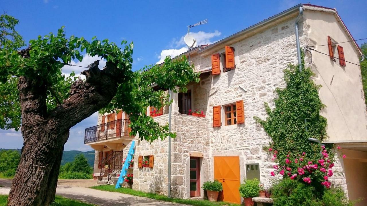 Villa Angela E Giovanni Vižinada Eksteriør bilde